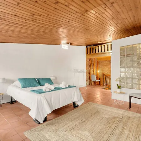 Cosy - - Centre Daire *